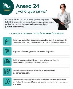 ≫ ¿Qué Es El Anexo 24 Del SAT? 【Sanciones Y Recomendaciones Clave】