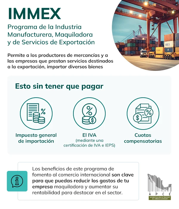 Beneficios del programa de fomento al comercio exterior IMMEX en infografía blanca