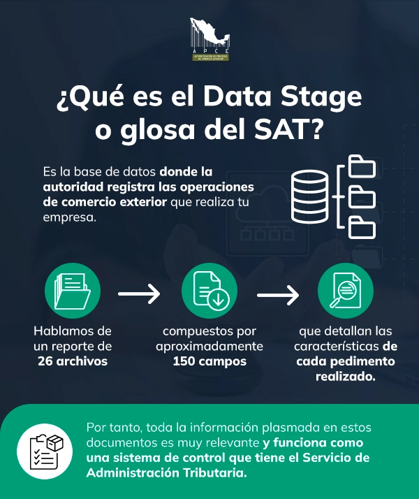 Definición del Data Stage en infografía con íconos vectoriales